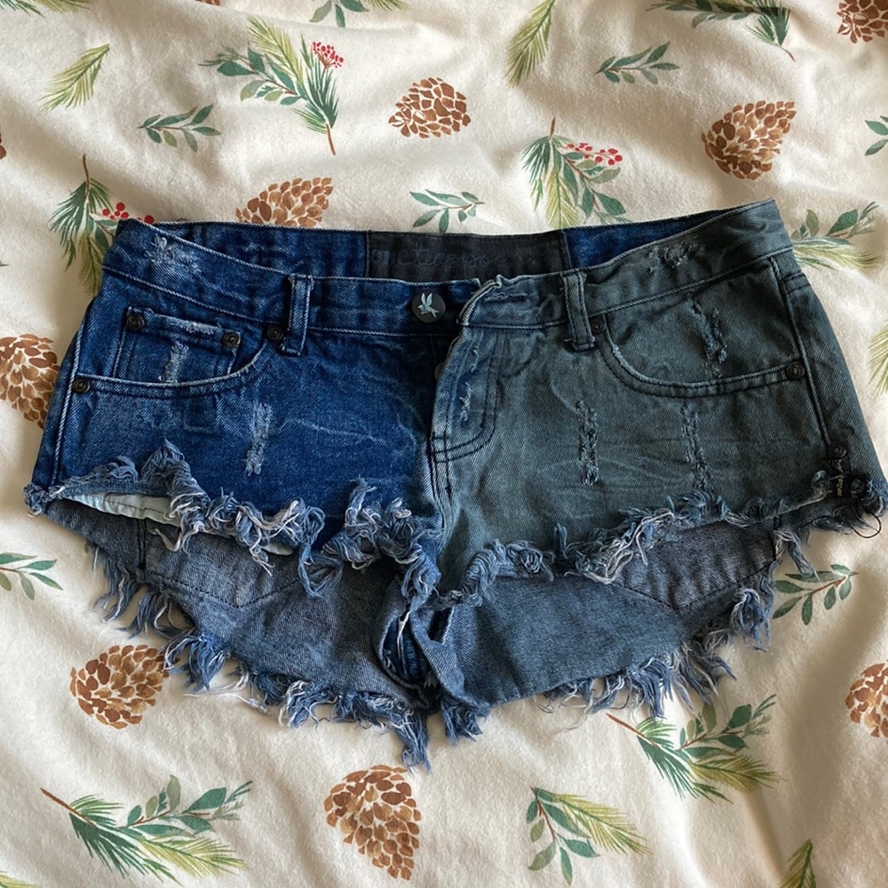 One Teaspoon Distressed Shorts